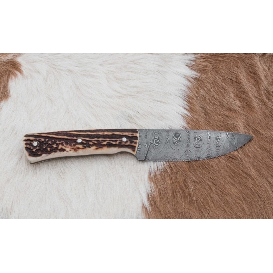 Lovački damaščanski nož sa testerom, oštrica 11 cm, drška od jelenskog roga