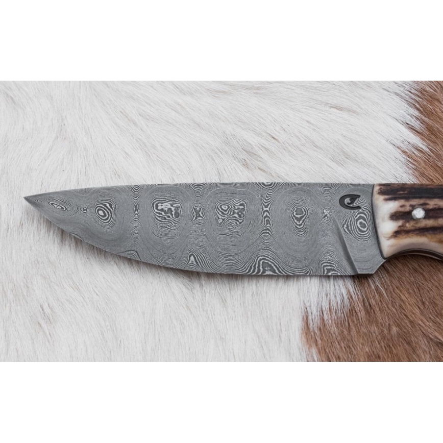 Lovački damaščanski nož sa testerom, oštrica 11 cm, drška od jelenskog roga