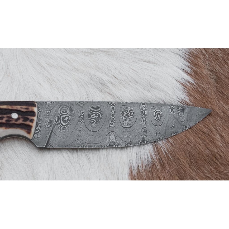 Lovački damaščanski nož sa testerom, oštrica 11 cm, drška od jelenskog roga
