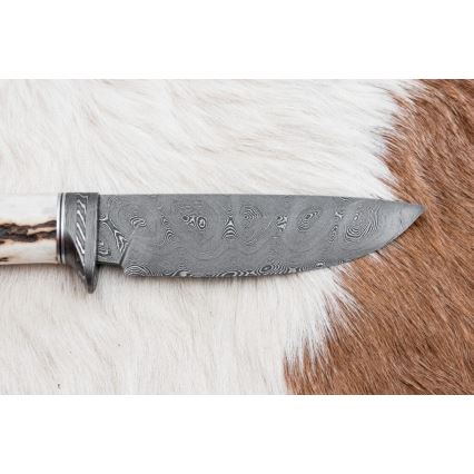 Lovački damask nož 11,8 cm orah/rog jelena