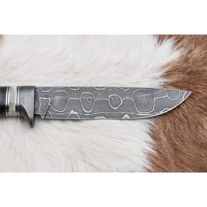 Lovački damask nož 13,8 cm breza/kamilja kost