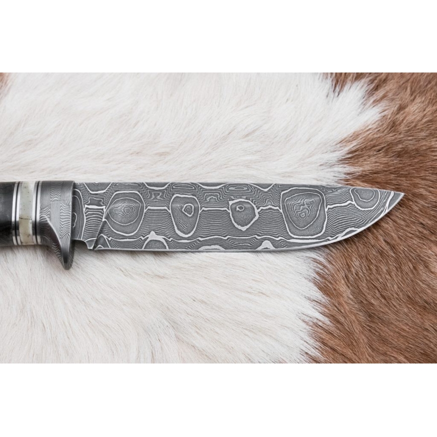 Lovački damask nož 13,8 cm breza/kamilja kost