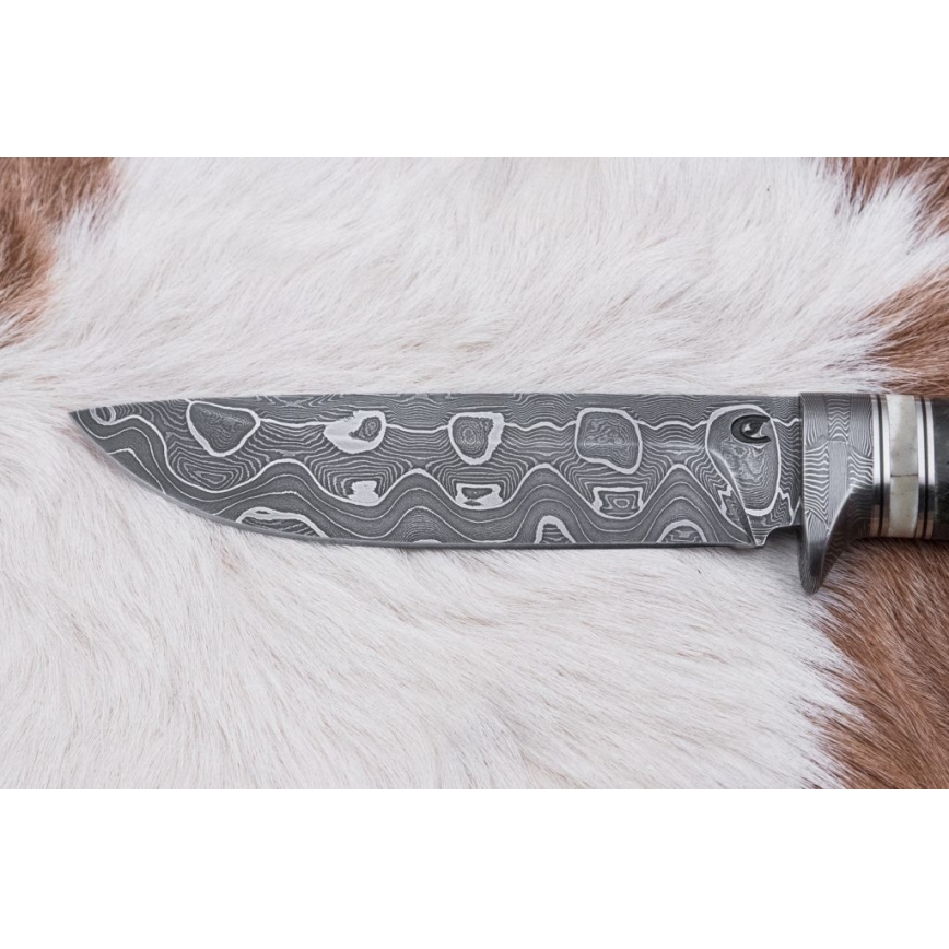 Lovački damask nož 13,8 cm breza/kamilja kost