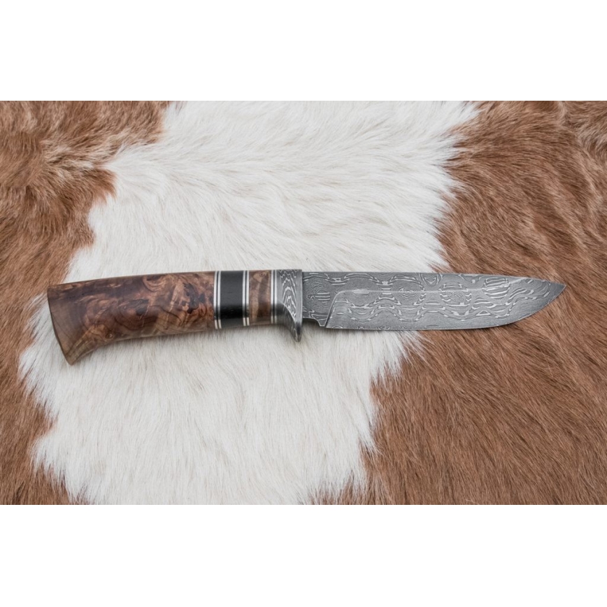 Lovački damask nož 13 cm topola/ebanovina