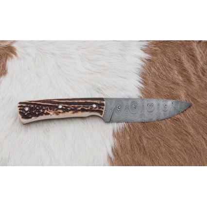 Lovački damaški nož 11 cm sa drškom od jelenjeg roga