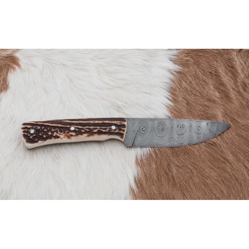 Lovački damaški nož 11 cm sa drškom od jelenjeg roga