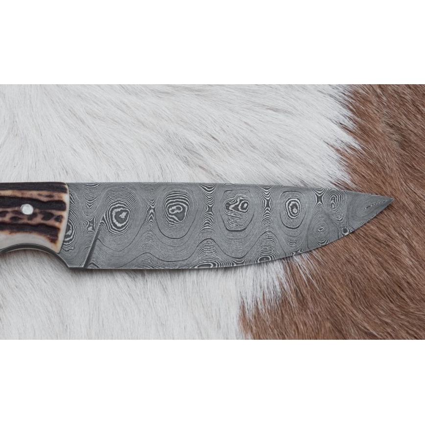 Lovački damaški nož 11 cm sa drškom od jelenjeg roga