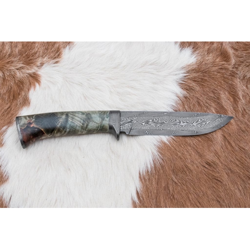 Lovački nož od damaškog čelika, 14 cm, kesten