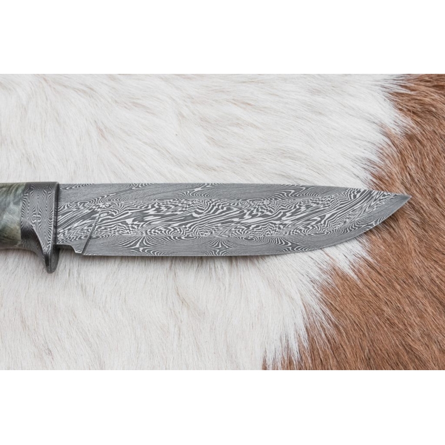 Lovački nož od damaškog čelika, 14 cm, kesten