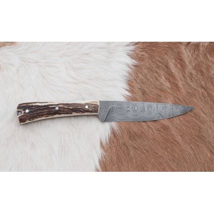 Lovački nož od damaškog čelika zavazák sa testerom, oštrica 12 cm, drška od jelenjeg roga