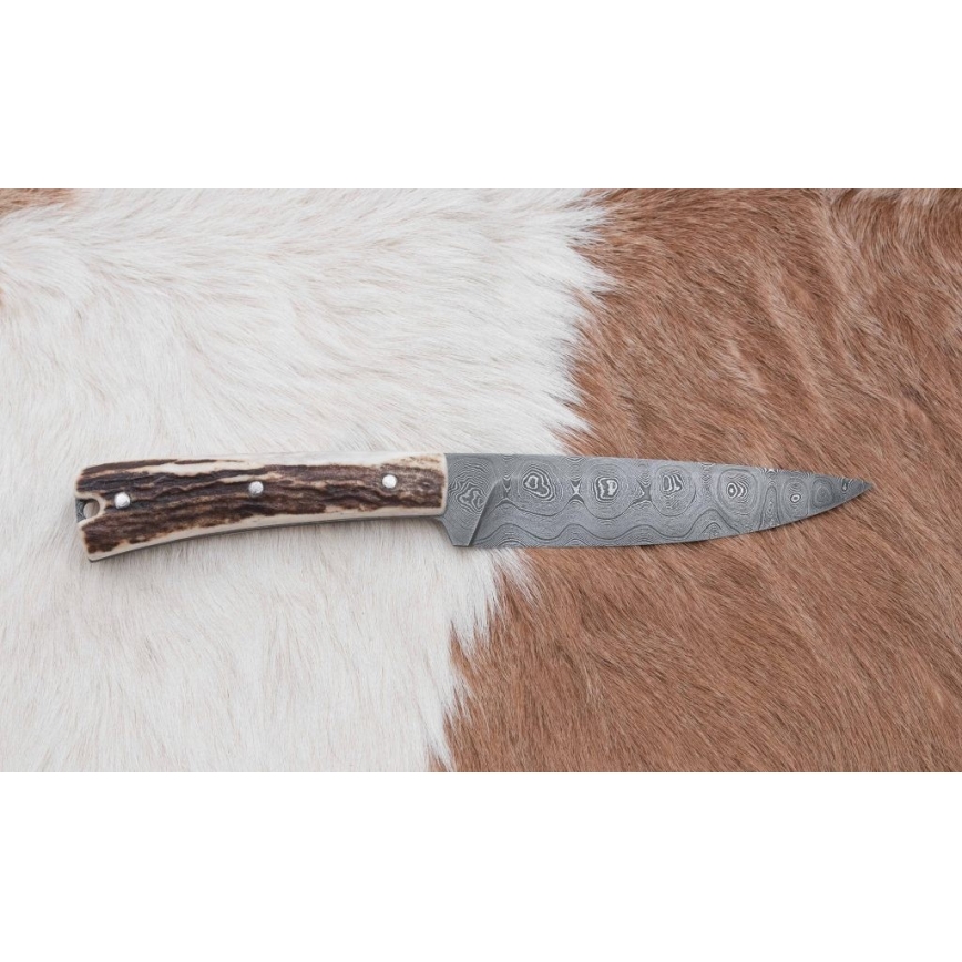 Lovački nož od damaškog čelika zavazák sa testerom, oštrica 12 cm, drška od jelenjeg roga