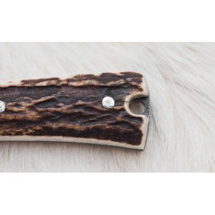 Lovački nož od damaškog čelika zavazák sa testerom, oštrica 12 cm, drška od jelenjeg roga