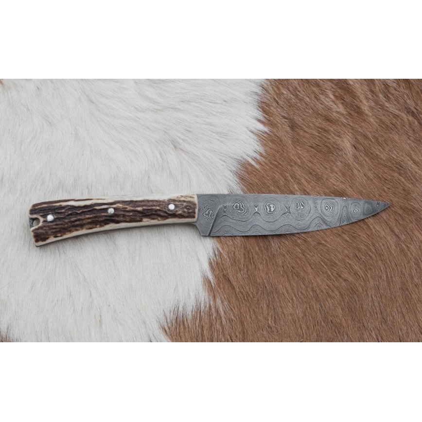 Lovački preklopni nož, 12 cm, drška od jelenjeg roga