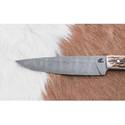 Lovački preklopni nož, 12 cm, drška od jelenjeg roga