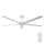 Lucci air 21616049 - Plafonski ventilator MONZA IP55 bela + Daljinski upravljač