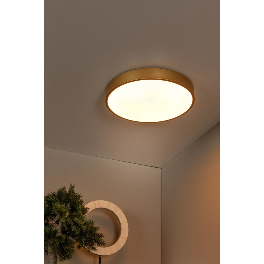 Lucide 79185/40/02 - LED Prigušiva plafonjera UNAR LED/24W/230V pr. 39,5 cm zlatna