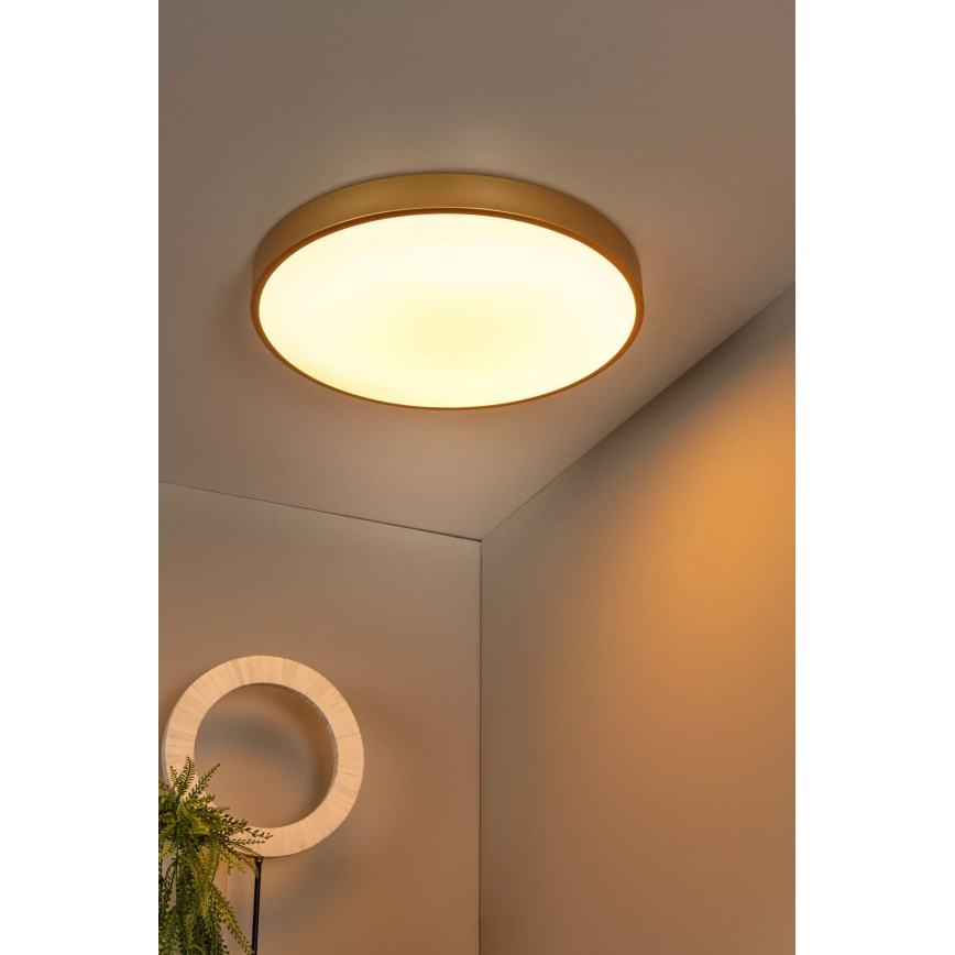 Lucide 79185/50/02 - LED Prigušiva plafonjera UNAR LED/36W/230V pr. 49,5 cm zlatna