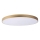 Lucide 79185/80/02 - LED Prigušiva plafonjera UNAR LED/80W/230V pr. 80 cm zlatna