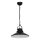 Luster IRON 1 1xE27/60W crno