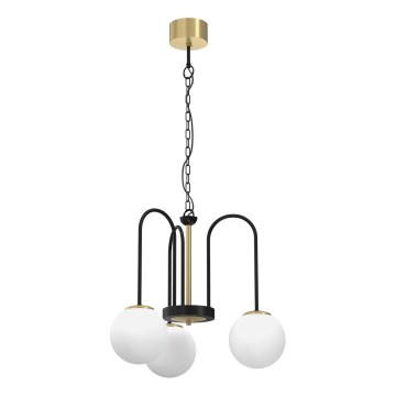 Luster na lancu CAMBRIDGE 3xE14/60W/230V crno/mesing