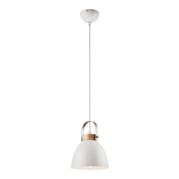 Luster na lanku DANIELLE 1xE27/60W/230V bukva
