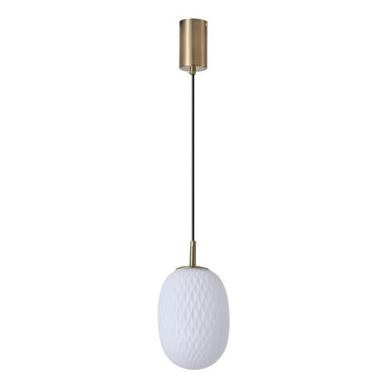 Luster na sajli 1xE14/25W/230V prozirna pr. 15 cm