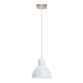 Luster na sajli 1xE27/40W/230V bukva/bela