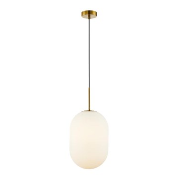 Luster na sajli ALIAS 1xE14/40W/230V pr. 24 cm zlatna