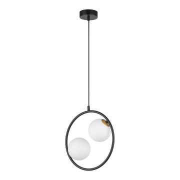 Luster na sajli AQUA 2xG9/12W/230V crno