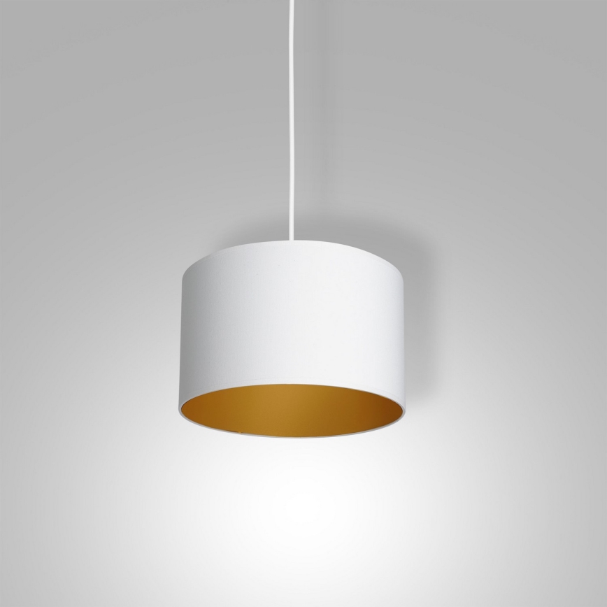 Luster na sajli ARDEN 1xE27/60W/230V pr. 25 cm bela/zlatna