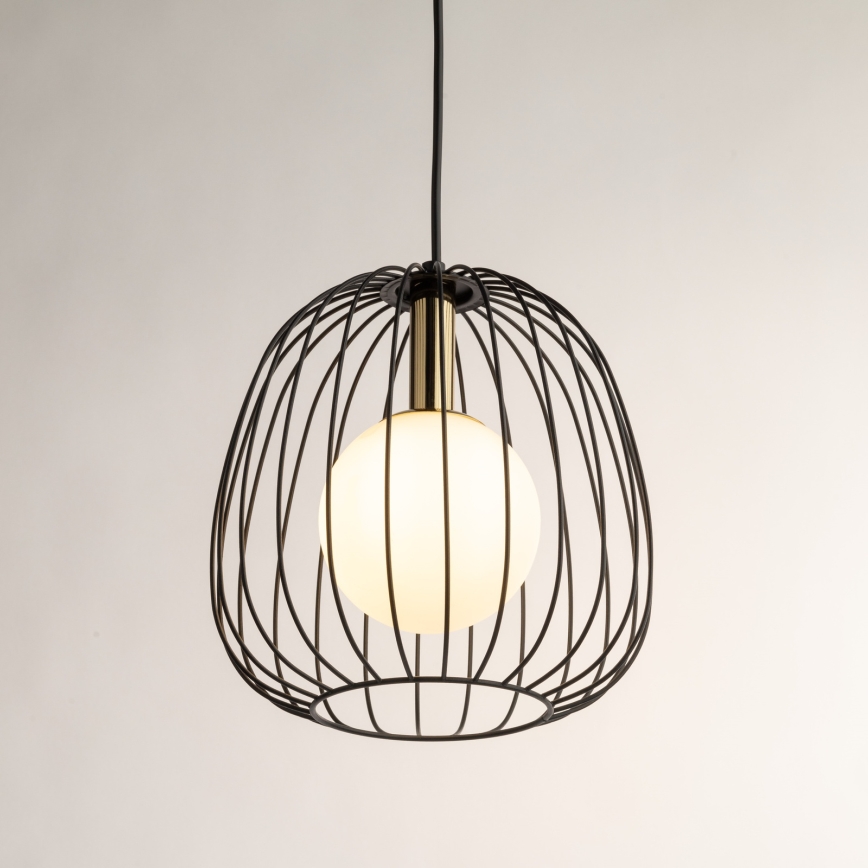 Luster na sajli BELL 1xG9/12W/230V pr. 24 cm crno/zlatna