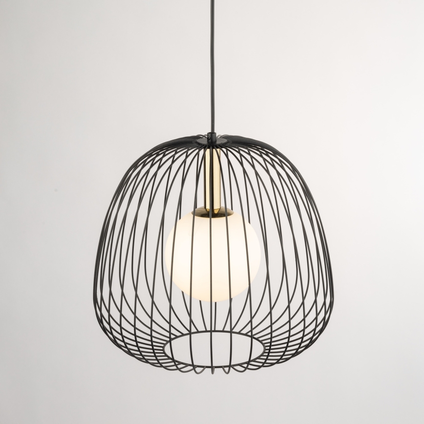 Luster na sajli BELL 1xG9/12W/230V pr. 33 cm crno/zlatna