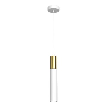 Luster na sajli CASSA 1xGU10/8W/230V bela/zlatna