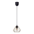 Luster na sajli CEED GOLD 1xE27/60W/230V pr. 17,5 cm crno/zlatna