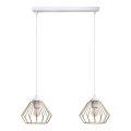 Luster na sajli CEED GOLD 2xE27/60W/230V bela/zlatna