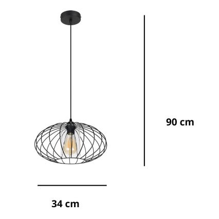 Luster na sajli CORRINI 1xE27/60W/230V pr. 34 cm crno/prozirna