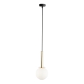 Luster na sajli DAISY 1xG9/12W/230V prečnik 14 cm zlatna/crna/bela