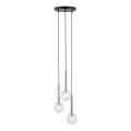 Luster na sajli DAISY 3xG9/12W/230V pr. 27 cm sjajni krom/crno/prozirna