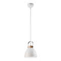 Luster na sajli DANIELLE 1xE27/60W/230V bukva