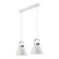 Luster na sajli DANIELLE 2xE27/60W/230V bukva
