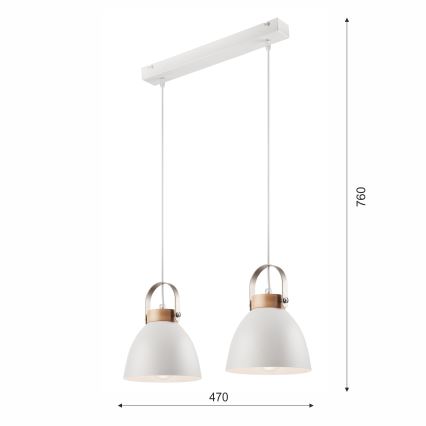 Luster na sajli DANIELLE 2xE27/60W/230V bukva