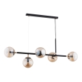 Luster na sajli DANSA 5xE14/10W/230V mesing/crna