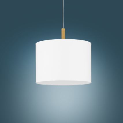 Luster na sajli DEVA 1xE27/25W/230V bela