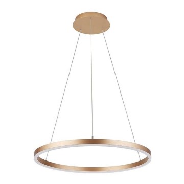 Luster na sajli DONA LED/62W/230V prečnik 80 cm