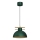 Luster na sajli ESTATE 1xE27/15W/230V zelena
