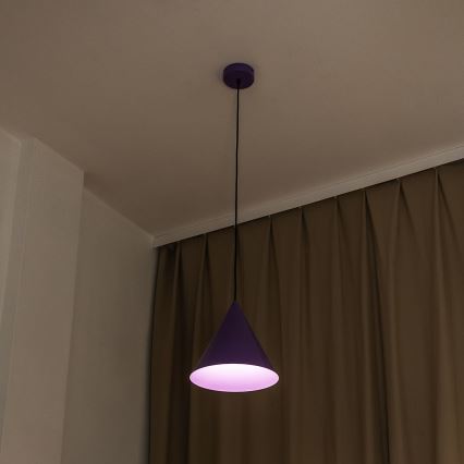 Luster na sajli ETNA II 1xE27/15W/230V, prečnik 25 cm, ljubičasta