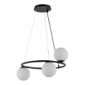 Luster na sajli GAMA 3xG9/12W/230V crno