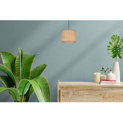 Luster na sajli IRMA 1xE27/60W/230V pr. 20 cm