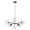 Luster na sajli KALIOPE 6xE14/50W/230V crno/bela