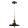 Luster na sajli LOFT 1xE27/60W/230V pr. 22 cm crno